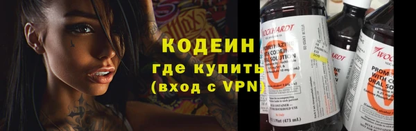 гашик Инта