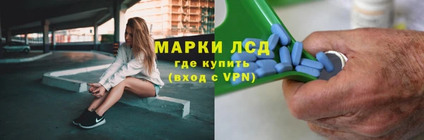 гашик Инта