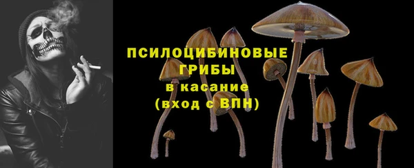 ГАЛЛЮЦИНОГЕННЫЕ ГРИБЫ Иннополис