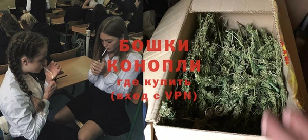 ГАЛЛЮЦИНОГЕННЫЕ ГРИБЫ Иннополис