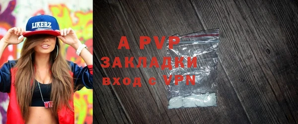 гашик Инта