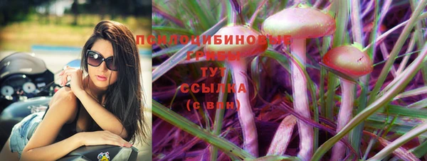 ГАЛЛЮЦИНОГЕННЫЕ ГРИБЫ Иннополис
