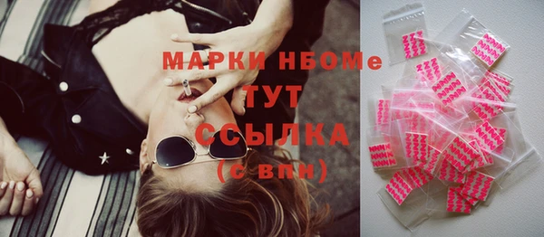 гашик Инта