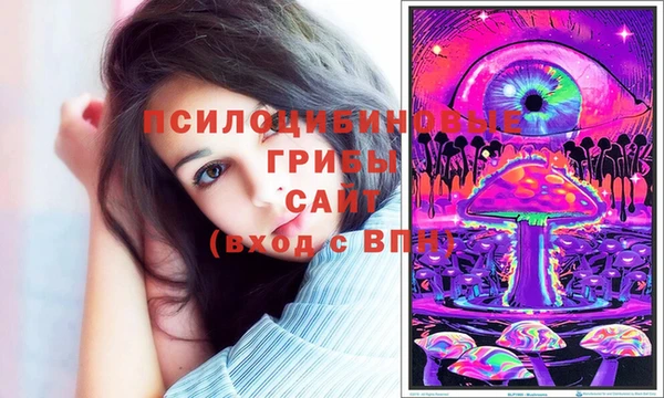 ГАЛЛЮЦИНОГЕННЫЕ ГРИБЫ Иннополис