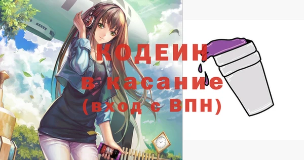 гашик Инта