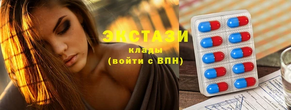 гашик Инта