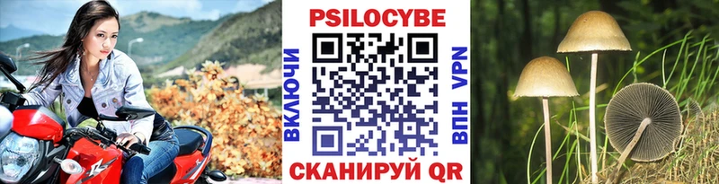 Псилоцибиновые грибы Psilocybe  Лабытнанги 